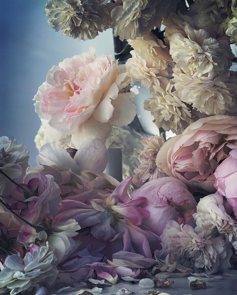 Nick Night - SHOWStudio 1