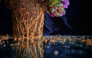 Szőke Kata - föld alatt