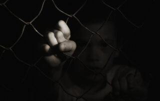 Samu Olivér: Háló