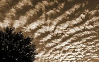 Ácsné Huszti Erika: Sorban állva