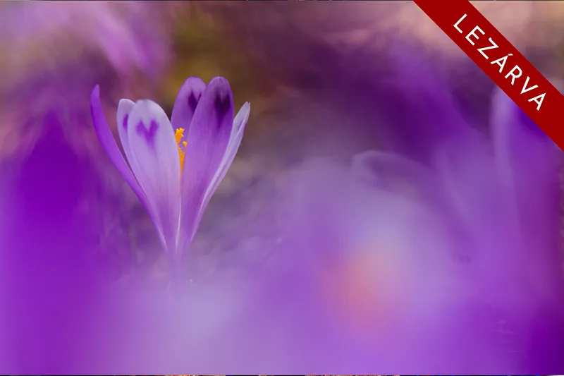 Pádis fennsík fotótúra Lezárva