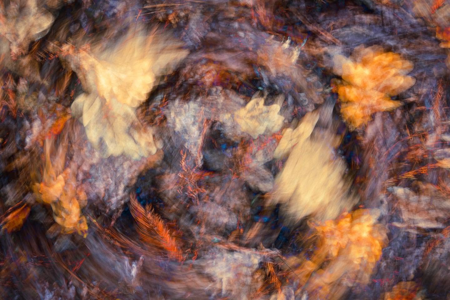 icm-wsh-01
